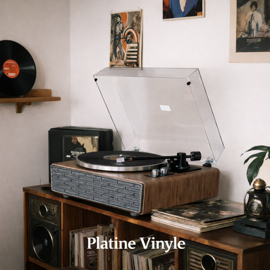 Platine vinyle XJ-HOME XJ-H02 Bluetooth 7" 10" 12" haut-parleurs intégrés sortie RCA AUX