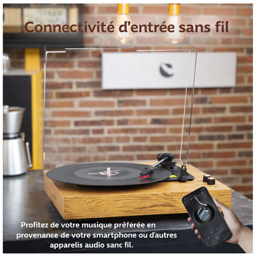 Platine vinyle à courroie Audio-Technica 33/45/78 tours RCA préampli intégré