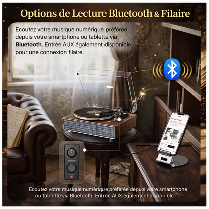 Platine vinyle XJ-HOME XJ-H02 Bluetooth 7" 10" 12" haut-parleurs intégrés sortie RCA AUX