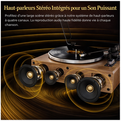 Platine vinyle XJ-HOME XJ-H02 Bluetooth 7" 10" 12" haut-parleurs intégrés sortie RCA AUX