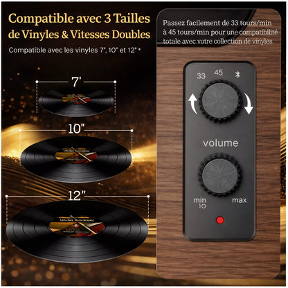 Platine vinyle XJ-HOME XJ-H02 Bluetooth 7" 10" 12" haut-parleurs intégrés sortie RCA AUX